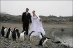 Первое венчание в Антарктиде