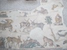 Мозаики пола Большого императорского дворца