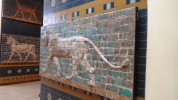 Фрагменты облицовки знаменитых Ворот Иштар из Вавилона